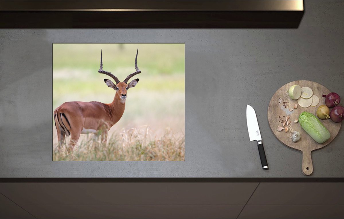 Inductieplaat Beschermer - Aankijkende Impala lopend door Groene Grassen - 58x52 cm - 2 mm Dik - Inductie Beschermer - Bescherming Inductiekookplaat - Kookplaat Beschermer van Wit Vinyl