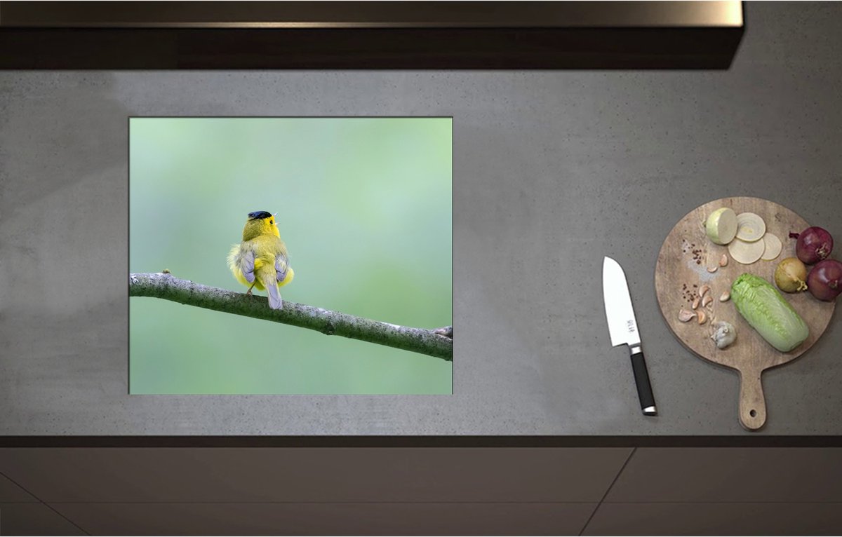 Inductieplaat Beschermer - Achteraanzicht van Zingend Geel Wilsons Vogeltje op een Tak - 58x50 cm - 2 mm Dik - Inductie Beschermer - Bescherming Inductiekookplaat - Kookplaat Beschermer van Wit Vinyl