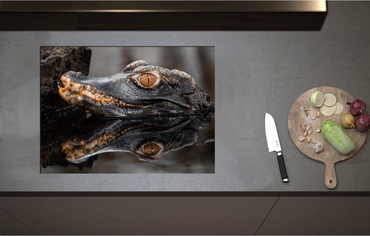 Inductieplaat Beschermer - Alligator Kop boven het Wateroppervlak - 71x52 cm - 2 mm Dik - Inductie Beschermer - Bescherming Inductiekookplaat - Kookplaat Beschermer van Zwart Vinyl