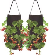 2 stuks aardbeien-plantenzakken, hangende aardbeien plantenzakken van vilt, plantenzak met gaten voor aardbeien en tomaten (2 stuks, zwart)