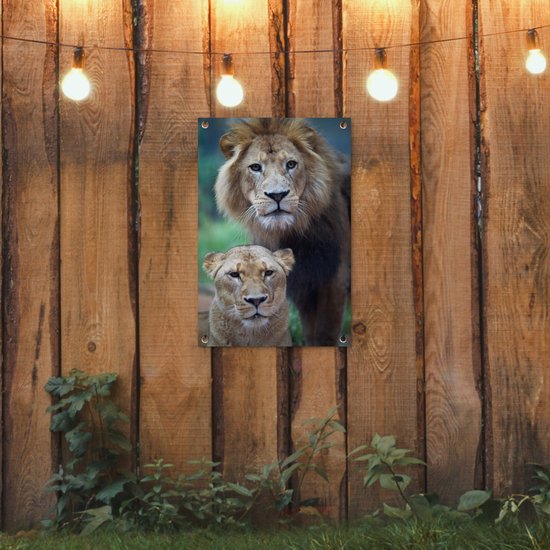 Poster Jardin Lion et Lionne 40x60 cm - petit - Toile de jardin / Toile d'extérieur / Peintures d'extérieur (décoration de jardin)