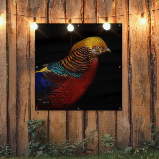 Affiche de jardin Faisan doré sur fond noir Toile en vrac 100x100 cm - Toile de jardin / Toile d'extérieur / Peintures d'extérieur (décoration de jardin)