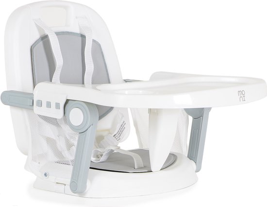 Bebeconfort Olea - Kinderstoel - Tinted Gray - Vanaf De Geboorte Tot 3 Jaar Oud