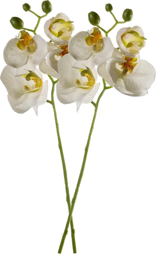 Emerald Kunstbloem Orchidee - 2x - 56 cm - wit - losse tak - kunst zijdebloem - Phalaenopsis