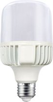 Diolamp HPL/HPI/SON LED E27 - 15W (135W) - Daglicht - Niet Dimbaar