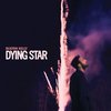 Ruston Kelly - Dying Star (2 LP)