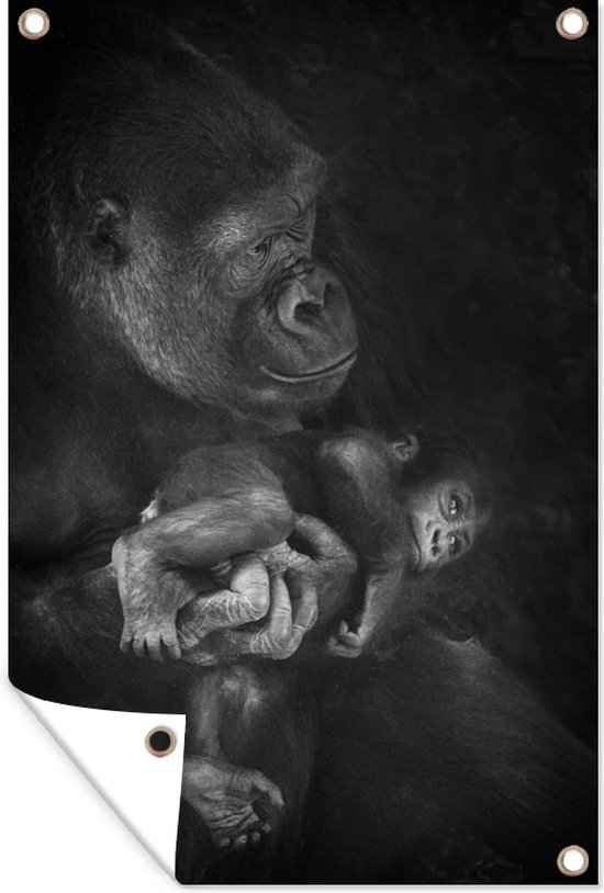 Muurdecoratie Een gorilla met een baby aap in haar handen in zwart-wit - 120x180 cm - Tuinposter - Tuindoek - Buitenposter