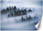 Trend24 - Behang - Mistig Bos - Vliesbehang - Fotobehang Natuur - Behang Woonkamer - 368x254 cm - Incl. behanglijm