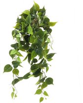 FloriaFor - Philodendron Hangende Kunstplant - - ↨ 100cm - ⌀ 12cm