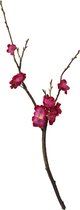 Kunsttak - Peach blossom - topkwaliteit decoratie - 2 stuks - zijden kunsttak- Fuchsia - Cerise - 55 cm hoog
