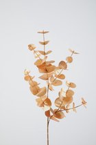 Kunsttak- Eucalyptus - topkwaliteit decoratie - 2 stuks - zijden tak - Goud - 87 cm hoog