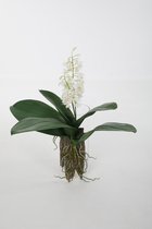 Kunstbloem - Orchidee - topkwaliteit decoratie - 2 stuks - zijden bloem - Wit - 50 cm hoog