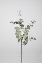 Kunsttak - Eucalyptus - topkwaliteit decoratie - 2 stuks - zijden tak - Groen - 86 cm hoog