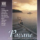 Various Artists - Pavane (CD)