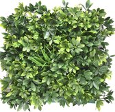 Kunsthaag Easyplants mat Schefflera 50x50 cm