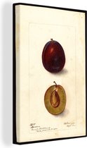 Tableau sur toile Prunes - Tableau de Deborah Griscom Passmore - 120x180 cm - Décoration murale XXL