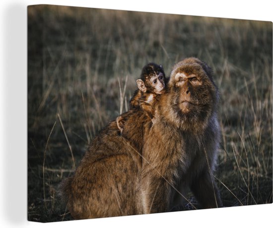 Canvas Schilderij Een moederaap en een baby aap in de natuur tijdens een zonsondergang - 30x20 cm - Wanddecoratie