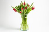 100 rode kersttulpen, snijbloem, boeket, gratis thuis bezorgt