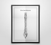 iDecorate - The backbone zwart wit poster ruggengraat - line art anatomie - wanddecoratie - 50 x 70 cm