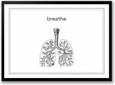 Breathe | Ademen zwart wit poster  | line art anatomie | wanddecoratie | Liggend 70 x 50 cm
