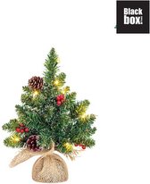 Black Box Trees - Creston kerstboom led werk op batterijen groen met burlap 10L TIPS 28 - h30xd15cm - Kerstbomen