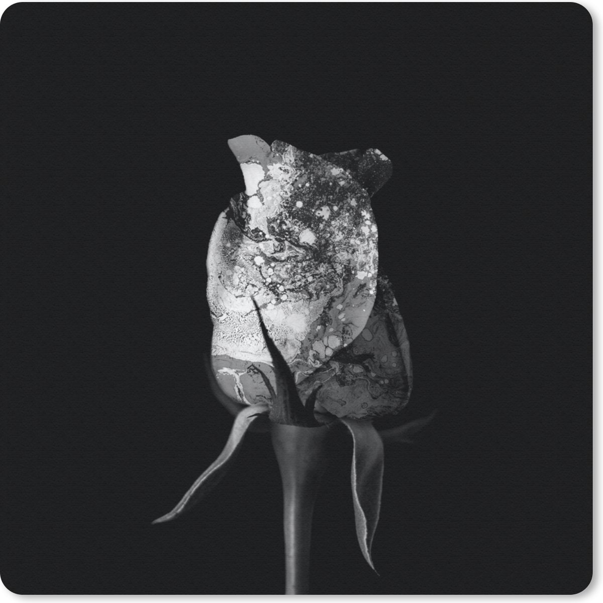 Muismat 30x30 cm - Mousepad Rozen - Bloemen - Verf - Zwart - Wit - Muismatten