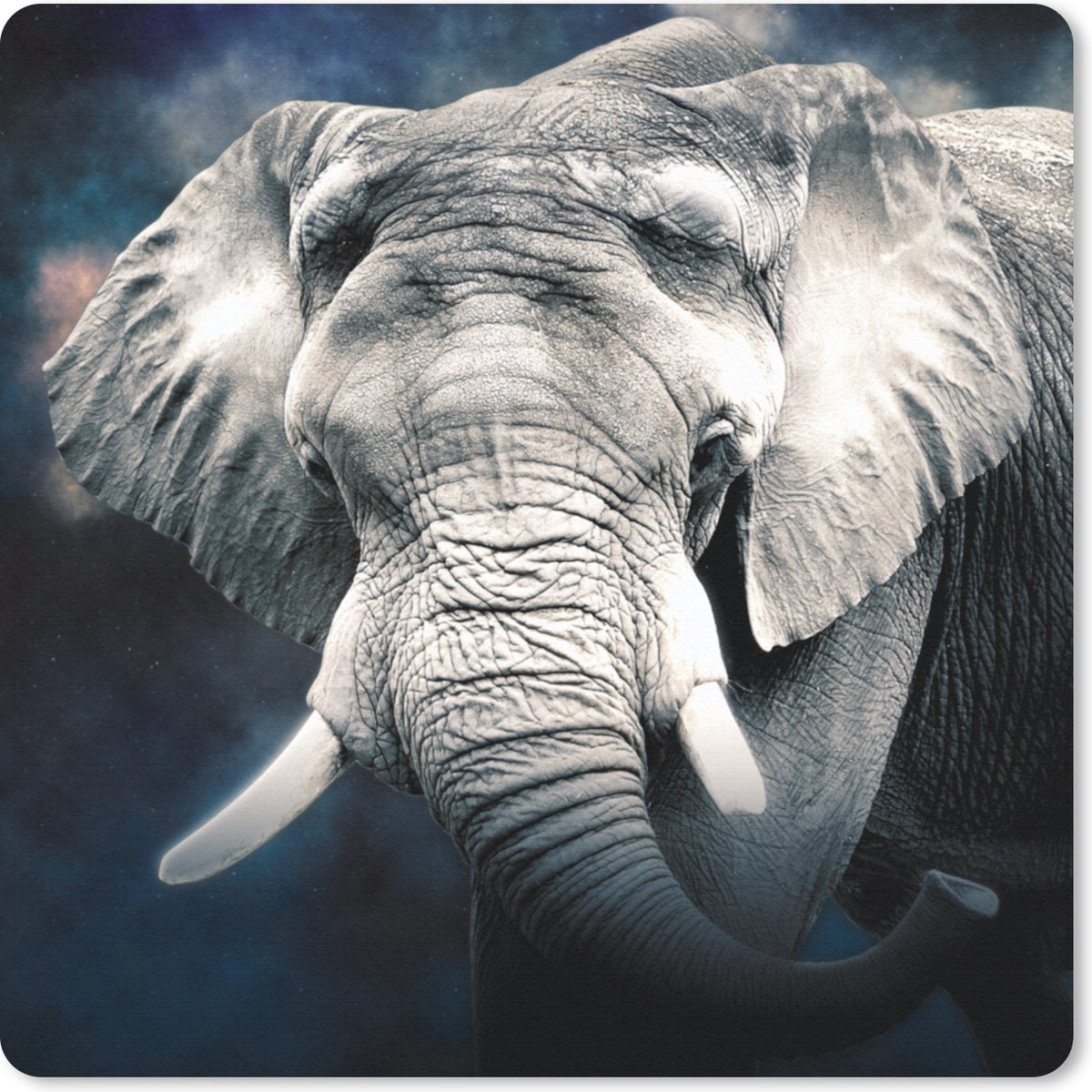 Muismat 20x20 cm - Mousepad Olifant - Rook - Tanden - Muismatten