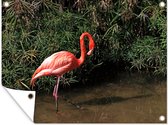 Muurdecoratie buiten Een rode flamingo staat in het water - 160x120 cm - Tuindoek - Buitenposter