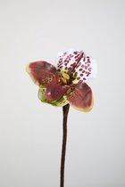 Kunstbloem - set van 2 - lady slipper orchidee - decoratieve tak -  48 cm - groen