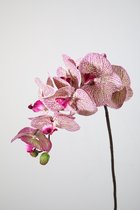 Kunstbloem - set van 2  - Autumn Phalaenopsis orchidee - decoratieve tak -  70 cm - roze