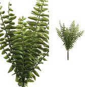 PTMD Fern Plant Varen Prikker -26 x 24 x 35 cm - Groen