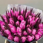 Verse Tulpen -  Cerise - 50 stuks