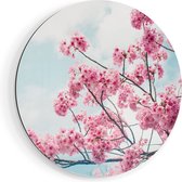 Artaza Dibond Muurcirkel Roze Bloesemboom - Bloemen - Ø 80 cm - Groot - Wandcirkel - Rond Schilderij - Voor Binnen en Buiten