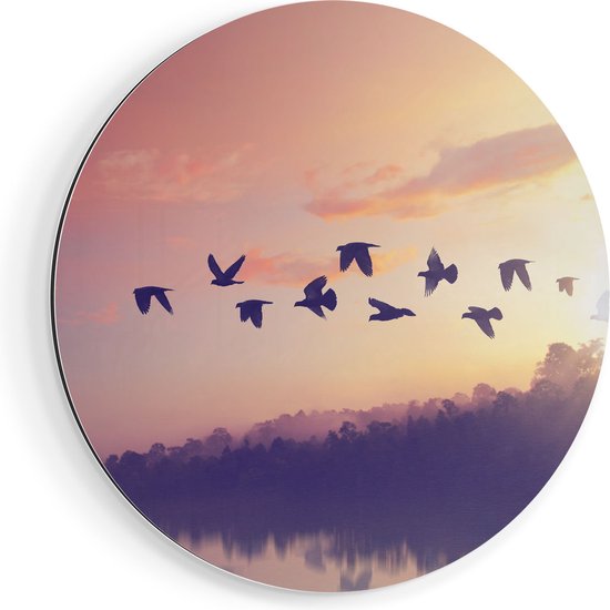 Artaza Dibond Muurcirkel Silhouet Vogels Tijdens Zonsondergang - Ø 40 cm - Klein - Wandcirkel - Rond Schilderij - Voor Binnen en Buiten