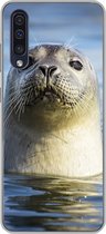 Geschikt voor Samsung Galaxy A50 hoesje - Zeehond - Portret - Water - Siliconen Telefoonhoesje