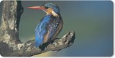 Bureau onderlegger - Muismat - Bureau mat - IJsvogel - Dier - Kleurrijk - 80x40 cm