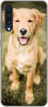 Geschikt voor Samsung Galaxy A50 hoesje - Een portret van een Golden Retriever puppy in de tuin - Siliconen Telefoonhoesje