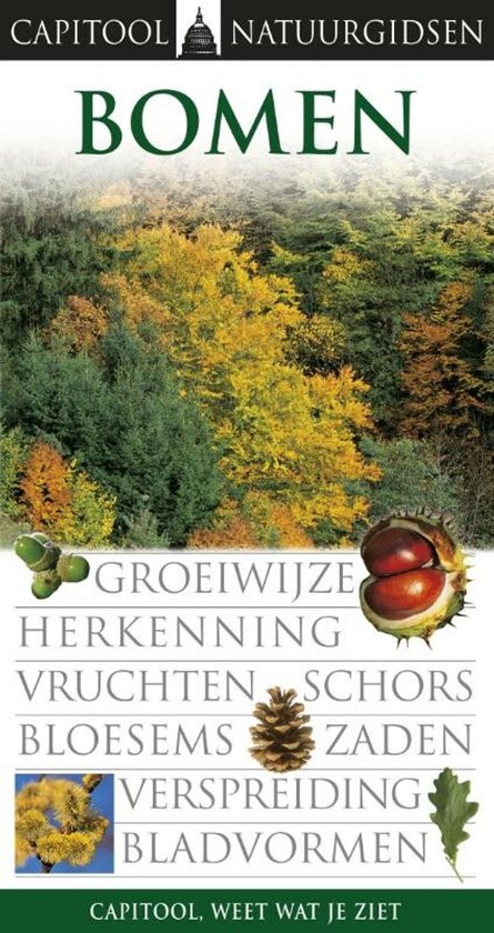 Couverture de livre avec une forêt d'automne. Détails de graines, feuilles et fruits.