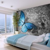 Fotobehang - Blue butterfly.