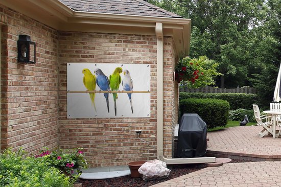 Tuinposter 120x80 cm - Tuindecoratie Groepje parkieten op een stokje - Poster voor in de tuin - Buiten decoratie - Schutting tuinschilderij - Tuindoek muurdecoratie - Wanddecoratie balkondoek