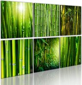 Schilderij - Bamboo has many faces.