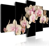Schilderij - Orchideeën op een contrast achtergrond.