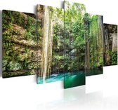 Schilderij - Waterfall of Trees.