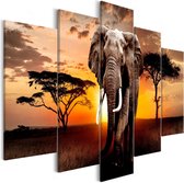 Schilderij - Wandering Elephant (5 Parts) Wide.