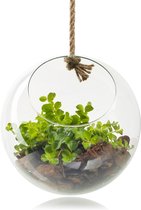 Eco ronde glazen bol met touw 'Eduard' d20 cm - Transparant/Helder/Doorzichtig glas - Bloemen vaas - Decoratie - Duurzaam