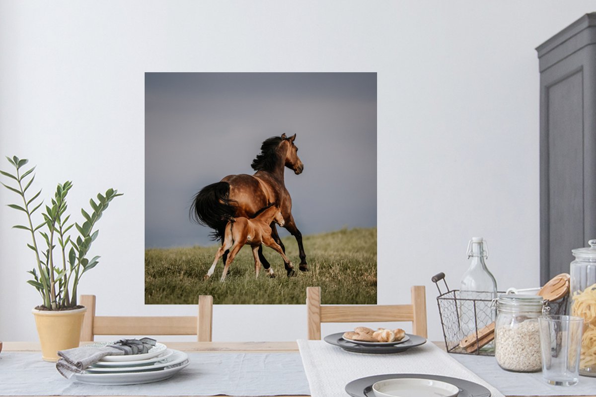 Muurstickers - Sticker Folie - Dieren - Paarden - Veulen - 100x100 cm - Plakfolie - Muurst