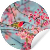 WallCircle - Muurstickers - Behangcirkel - Vogel - Sakura - Kleuren - 30x30 cm - Muurcirkel - Zelfklevend - Ronde Behangsticker
