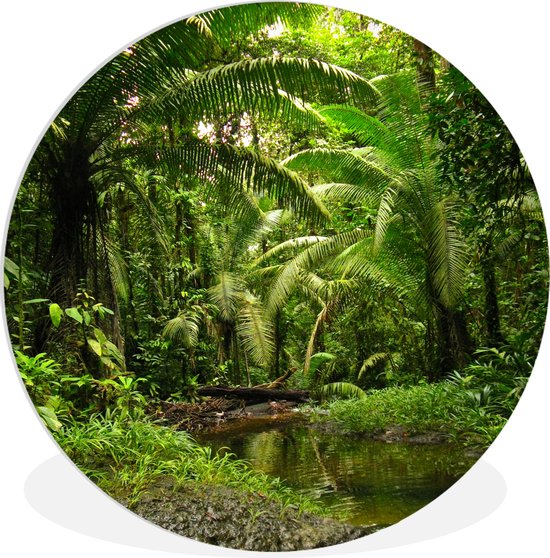 WallCircle - Wandcirkel ⌀ 150 - Tropisch regenwoud in Colombia - Ronde schilderijen woonkamer - Wandbord rond - Muurdecoratie cirkel - Kamer decoratie binnen - Wanddecoratie muurcirkel - Woonaccessoires