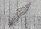 Komar Concrete Feather Vlies Fotobehang 350x250cm 7-Banen