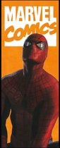 Komar Spider-Man Comic Vlies Fotobehang 100x250cm 2-Banen